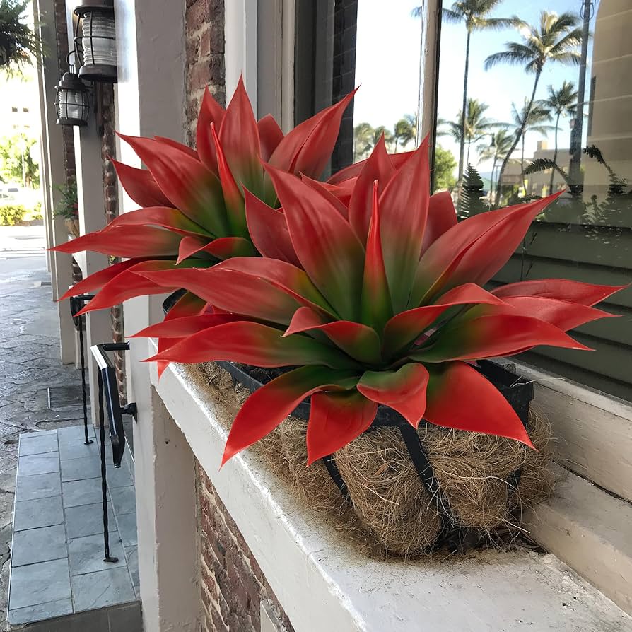 ソウラボAGAVE- [ Z ] ERO BOTANIZE PLA POT Amazon.com: Ttranewsoo Artificial Agave Plants,Large UV
